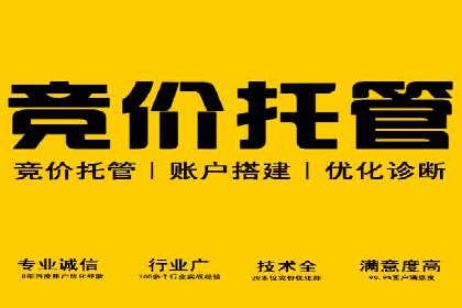 SEM网络推广案例解析：效果翻倍秘籍